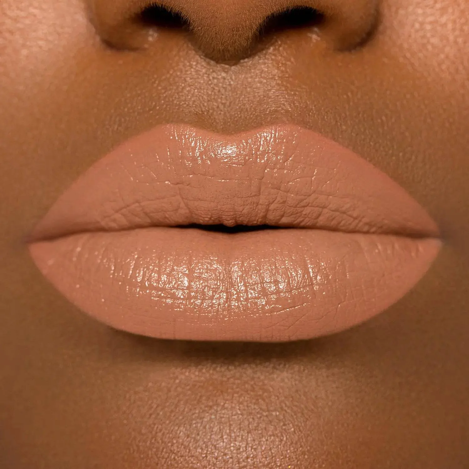 211-i-need-a-nude-lipstick-25.webp I NEED A NUDE LIPSTICK