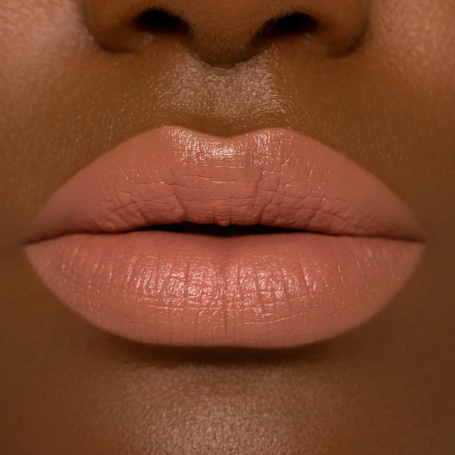 211-i-need-a-nude-lipstick-31.webp I NEED A NUDE LIPSTICK
