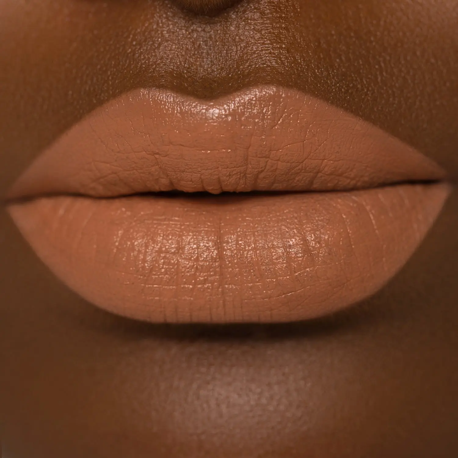 211-i-need-a-nude-lipstick-4.webp I NEED A NUDE LIPSTICK