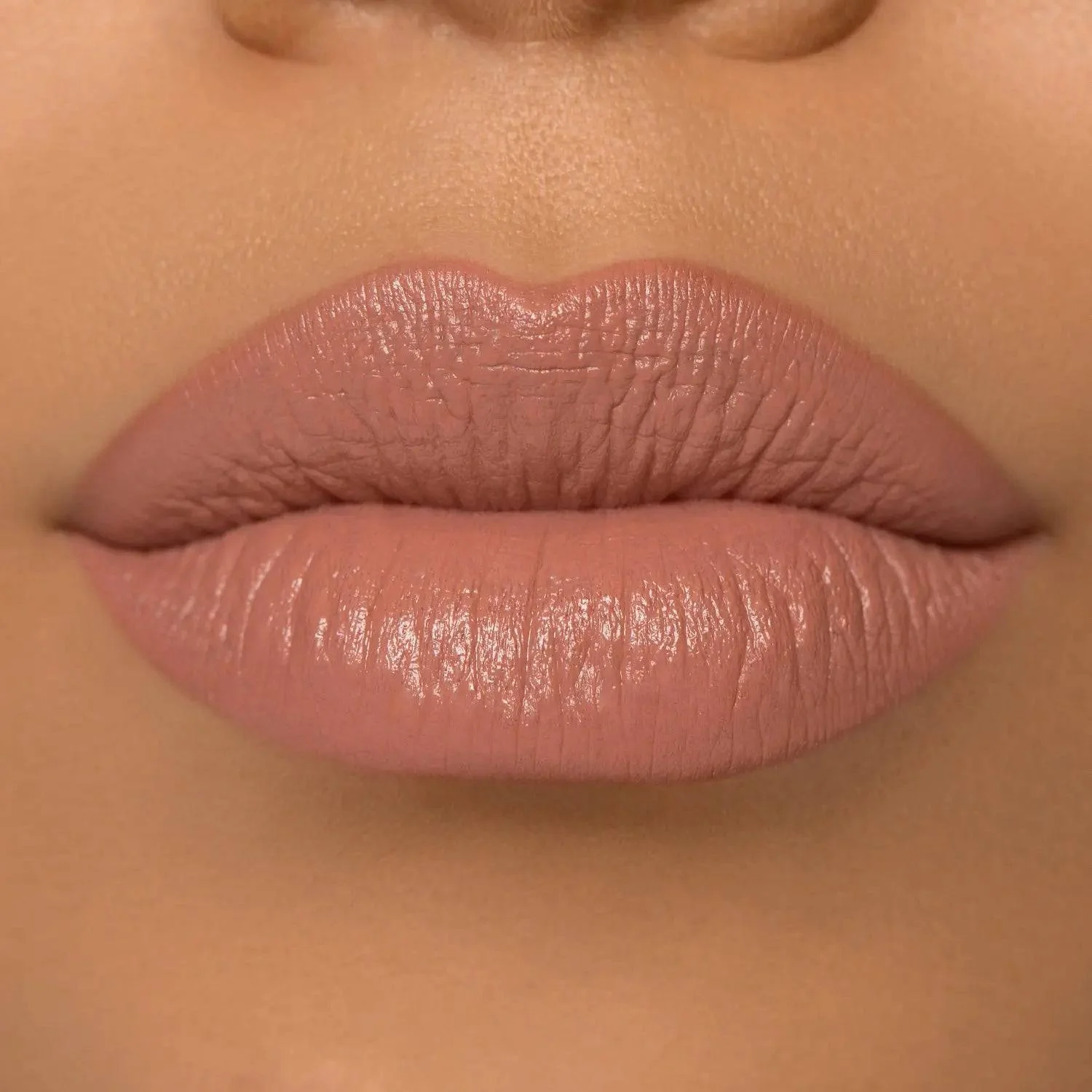 211-i-need-a-nude-lipstick-51.webp I NEED A NUDE LIPSTICK